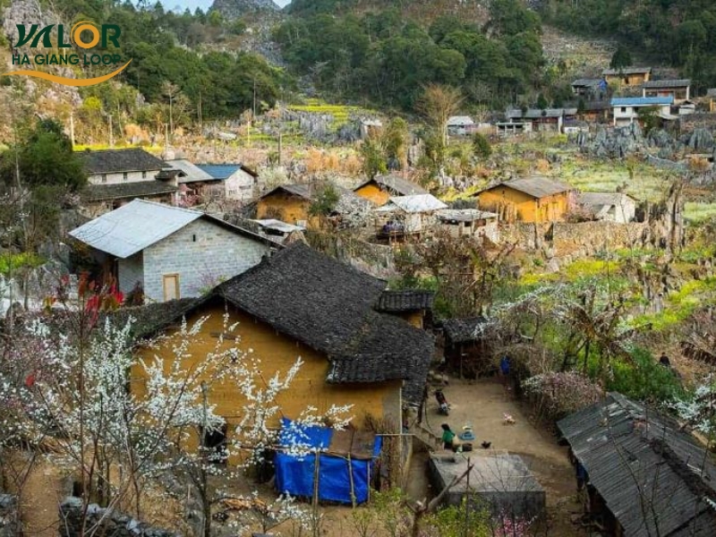 Best Things to Do in Ha Giang