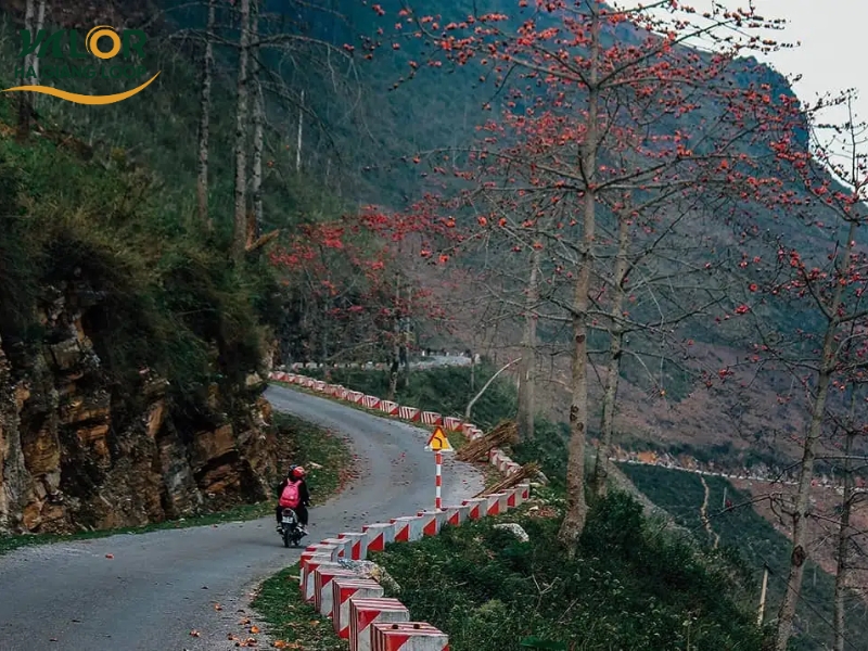 Du Gia Village in Ha Giang