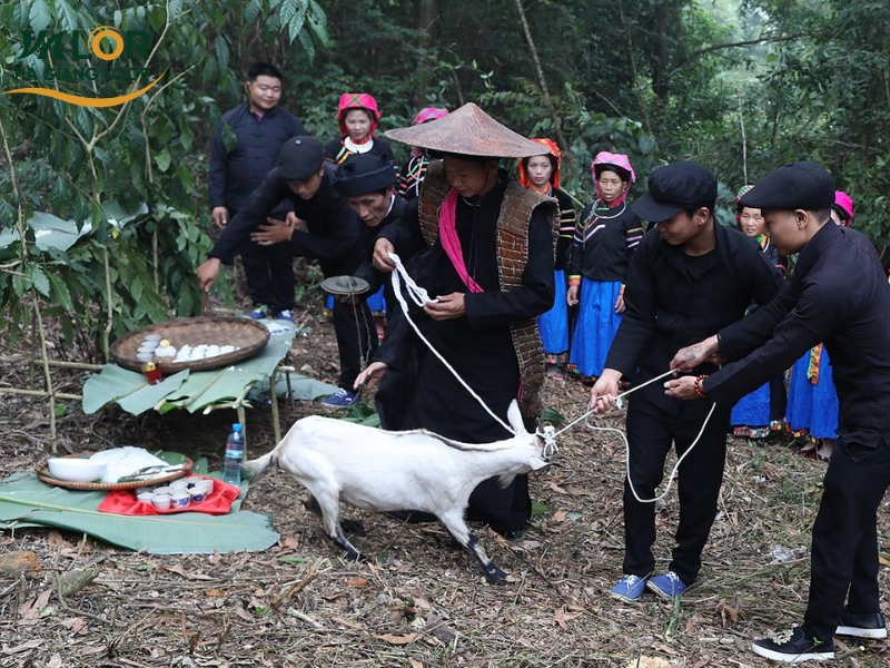 Ha Giang Traditional Festivals