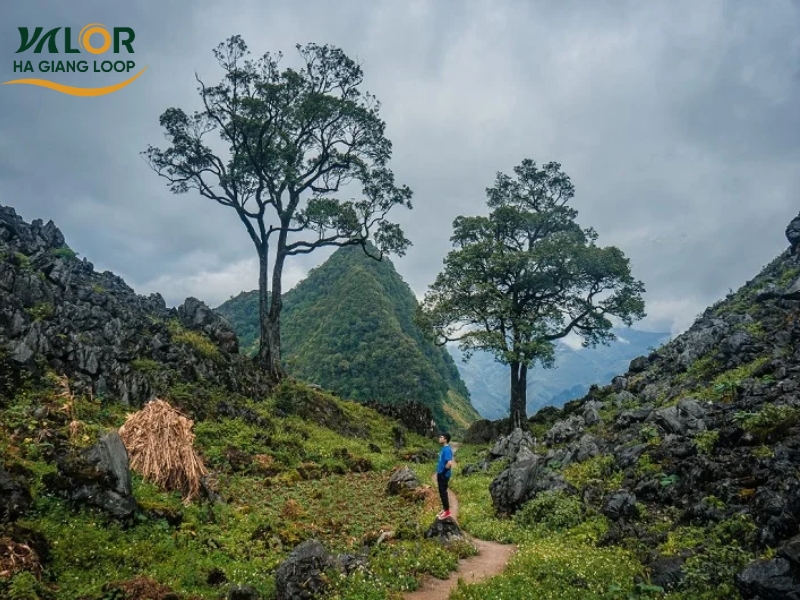 Ha Giang to Ninh Binh Motorbike Route