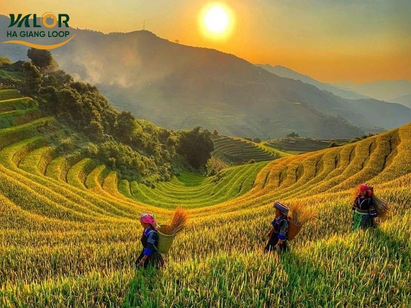 Trekking in Ha Giang