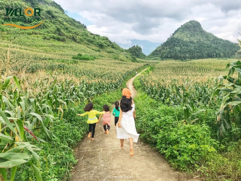 Trekking in Ha Giang